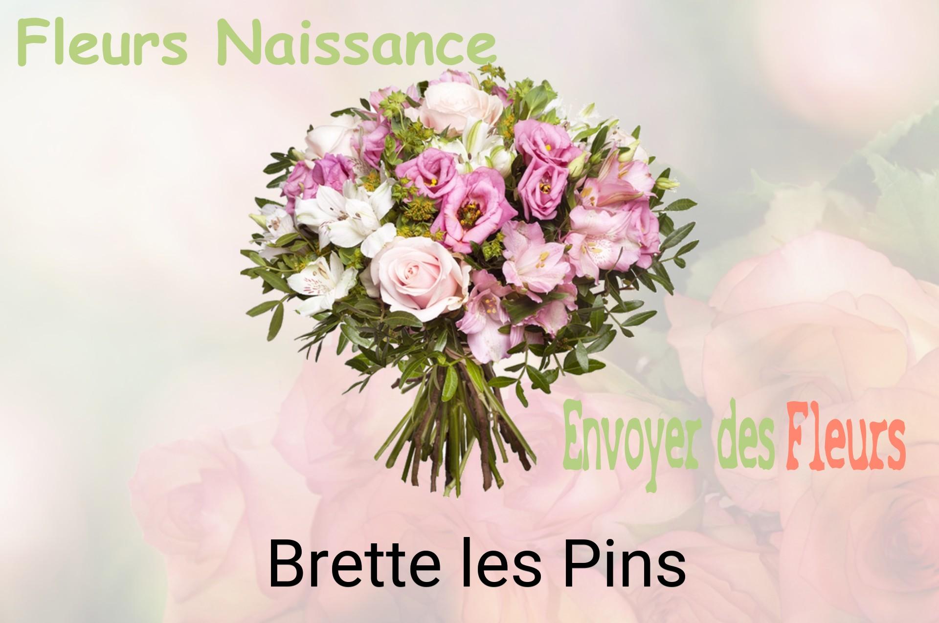 Bouquet de fleurs de naissance livré à Brette-les-Pins